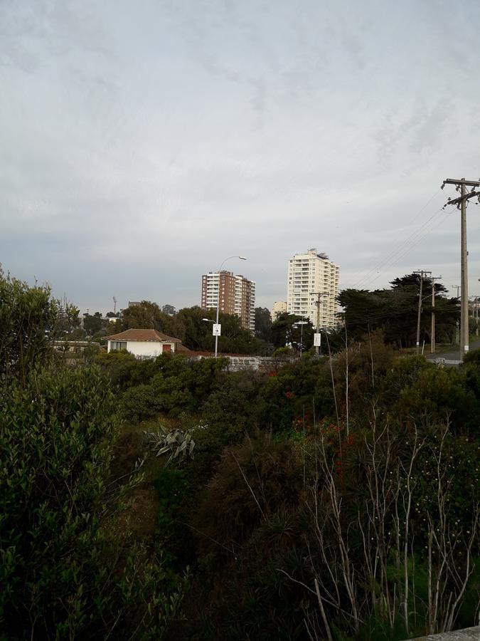 Vista Y Mar Apartment Valparaiso Bagian luar foto